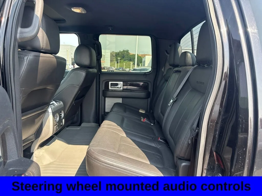 Used 2014 Brown Ford Platinum image 7