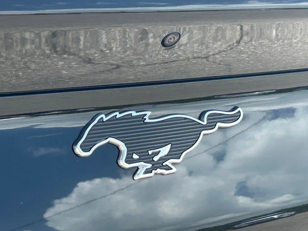 Certified Used 2024 Shadow Black Ford Select image 22