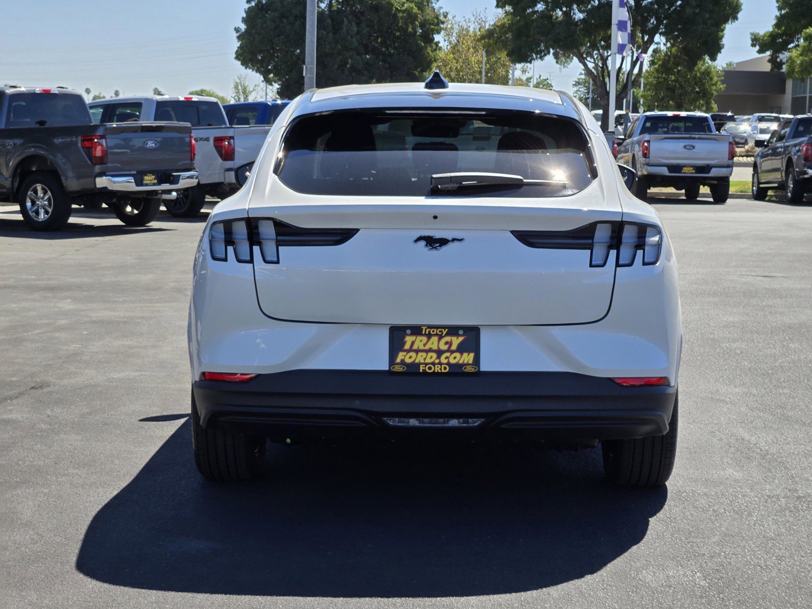 New 2026 Star White Metallic Tri-coat Ford Premium image 5