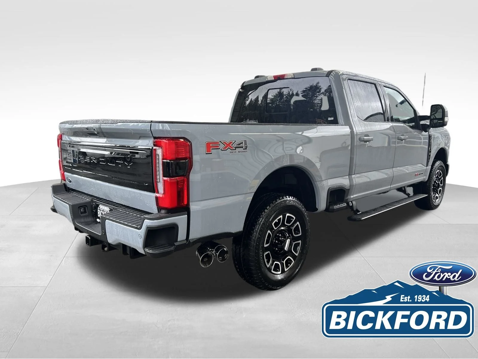 New 2026 Gray Ford Platinum image 5