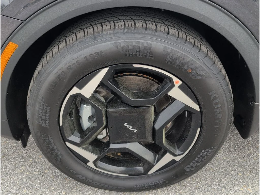 New 2026 Panthera Metal Kia EX image 9