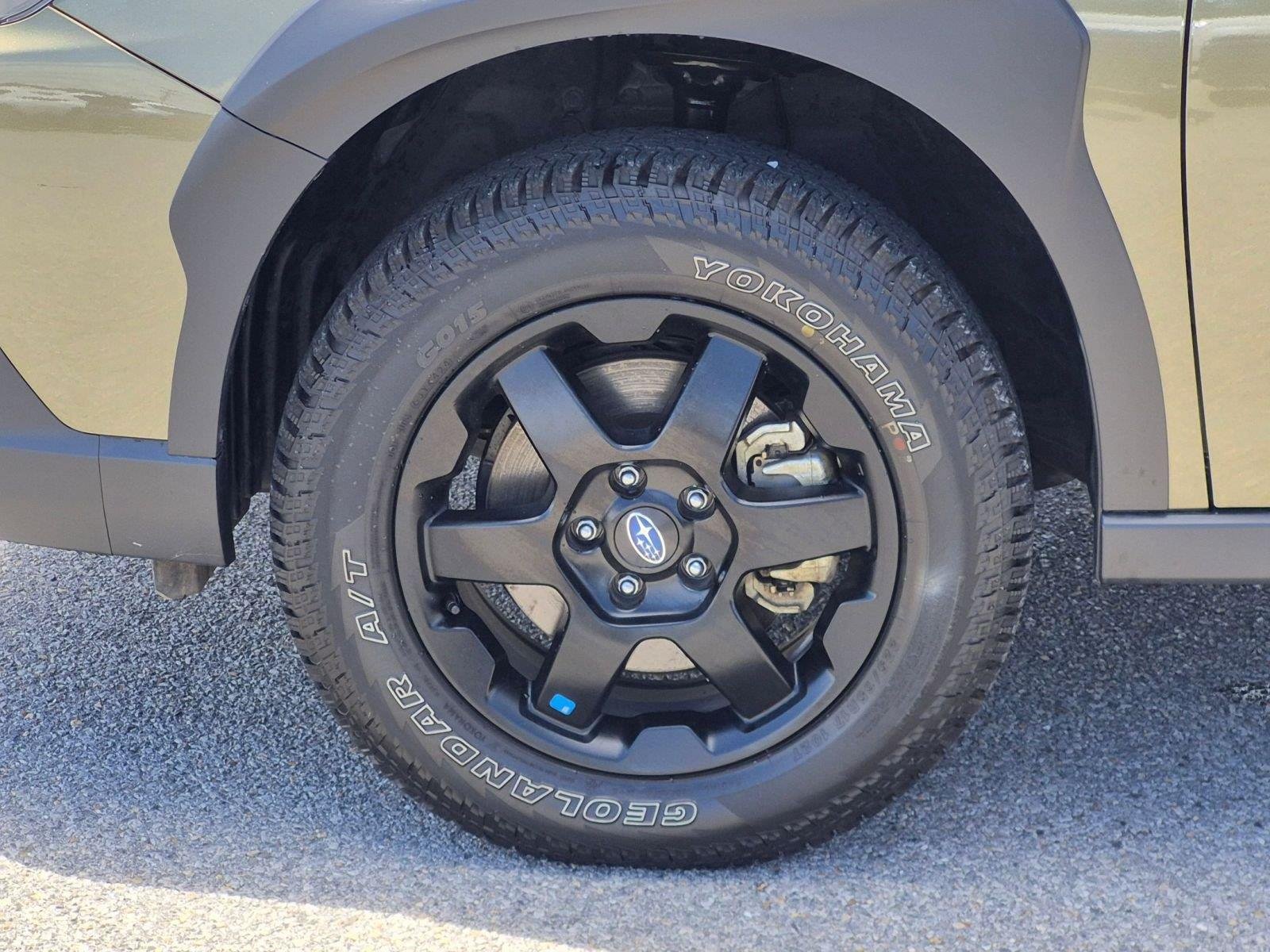 Used 2025  Subaru Wilderness image 9