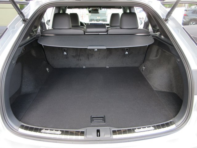 New 2026 Iridium Lexus PREMIUM image 55