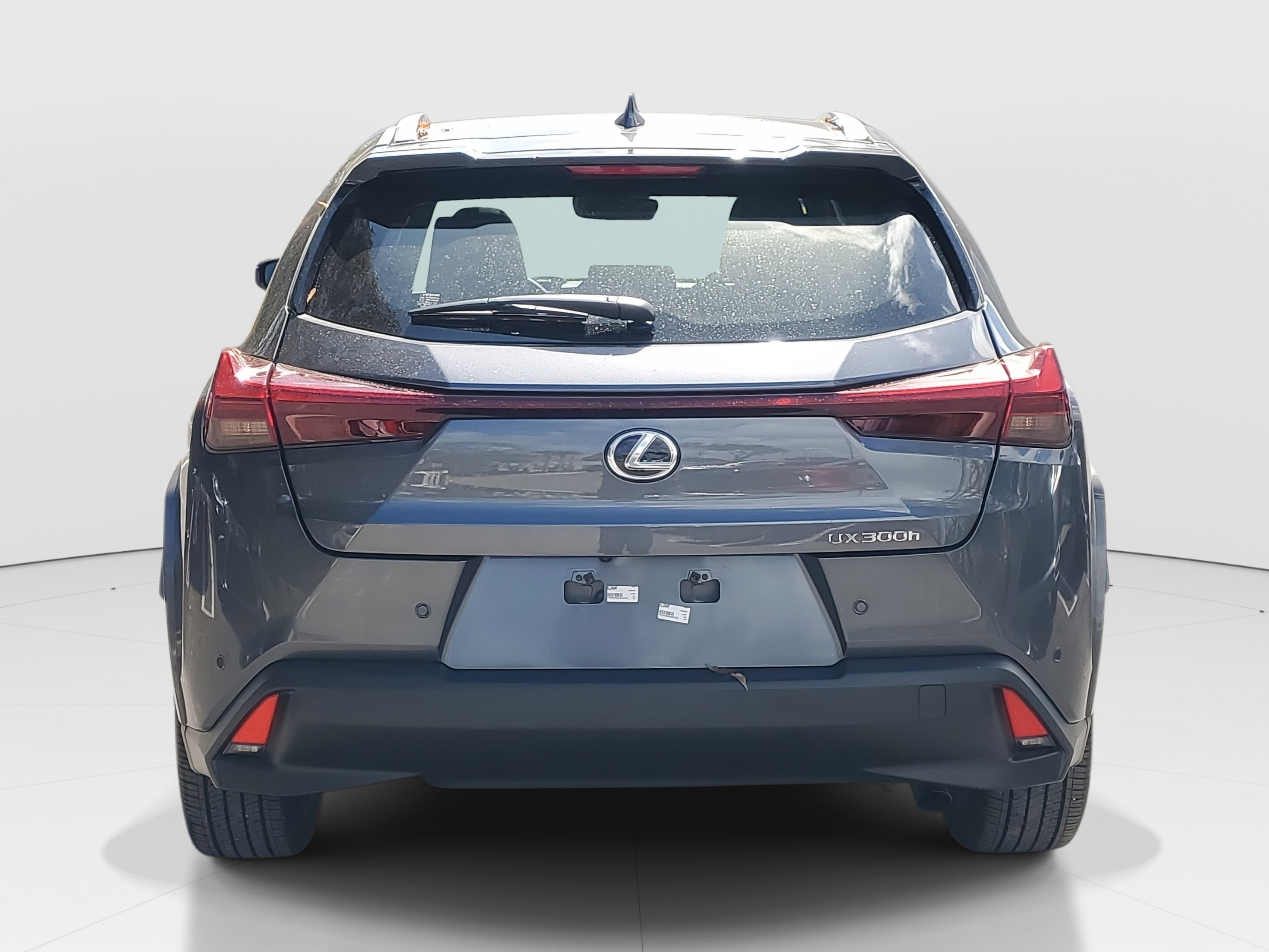 2025 Lexus UX Hybrid 300h - Photo 6