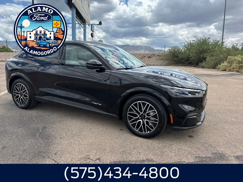 New 2026 Shadow Black Ford Premium image 7