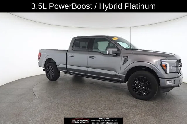 Used 2025 Gray Ford Platinum image 25