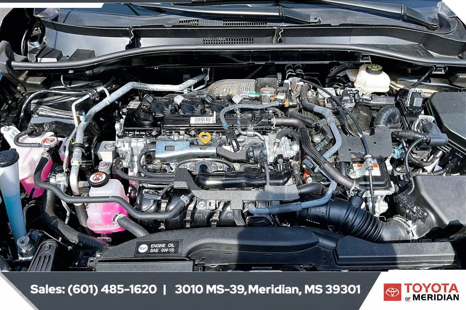 Used 2025 Jet Black Toyota XSE image 8
