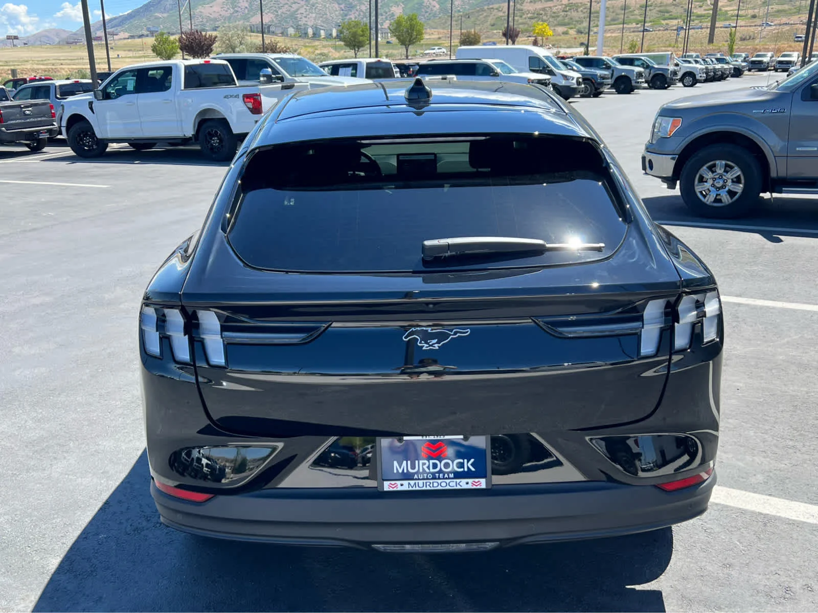 New 2026 Shadow Black Ford Premium image 9