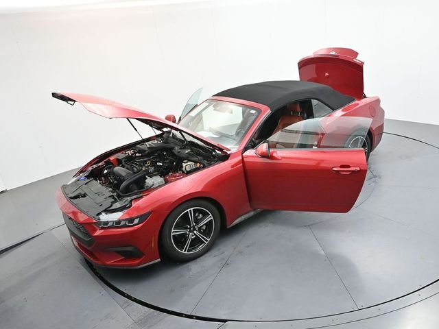 Used 2024 Red Ford EcoBoost Premium image 32