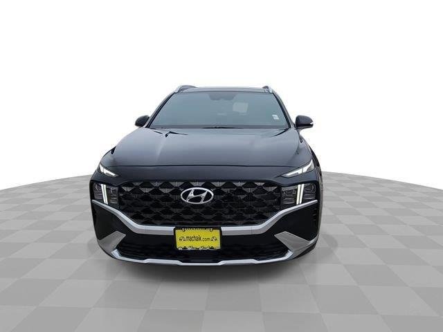Used 2023  Hyundai Calligraphy image 3