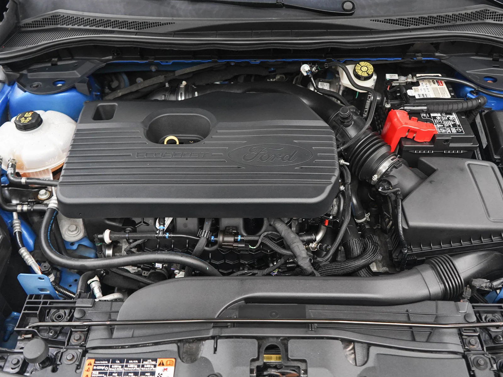 Used 2020 Blue Ford Titanium image 30