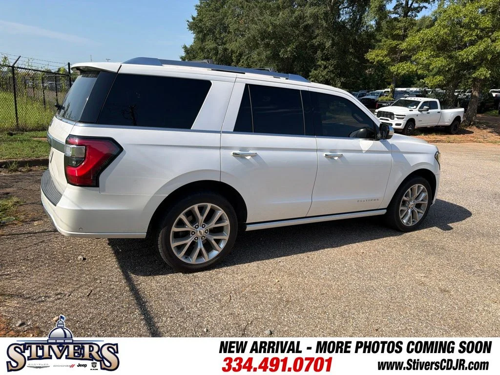 Used 2019 White Ford Platinum image 14