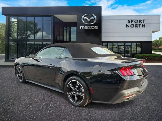 Used 2024 Black Ford EcoBoost Premium image 5