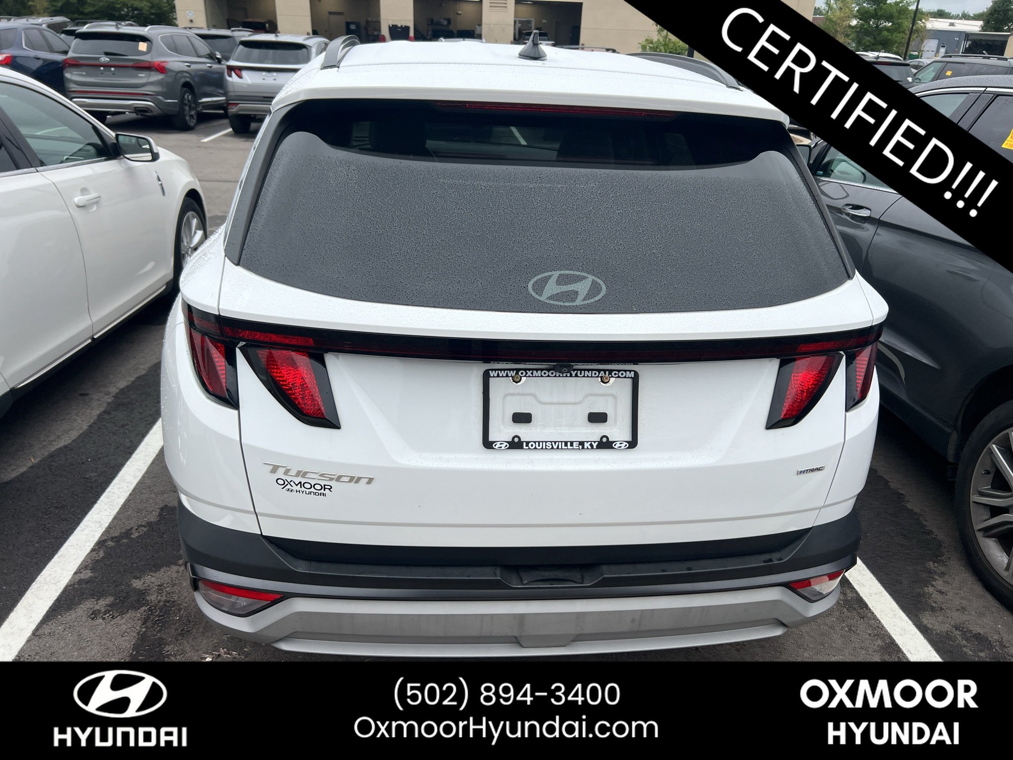Used 2025 Serenity White Pearl Hyundai SEL image 8