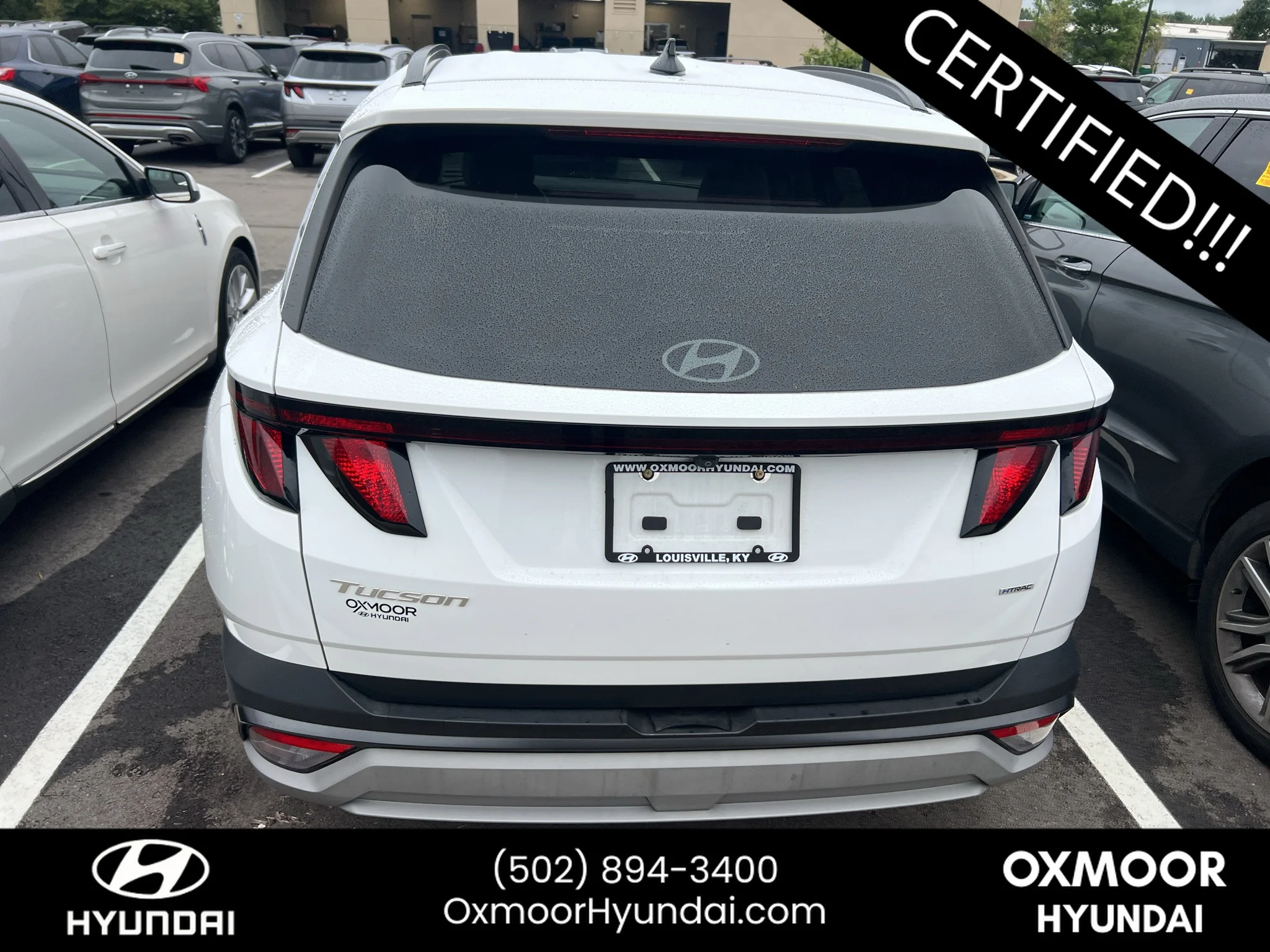 Used 2025 Serenity White Pearl Hyundai SEL image 8