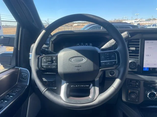 New 2026 Glacier Gray Metallic Tri-Coat Ford Platinum image 13