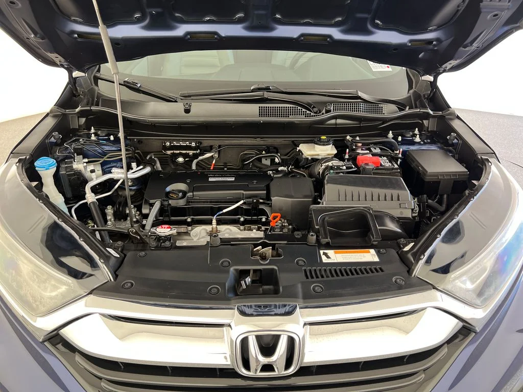 Used 2019  Honda LX image 23