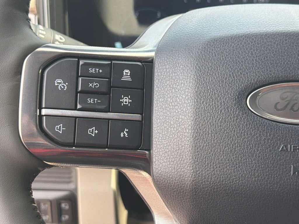 New 2026 Gray Ford Platinum image 24