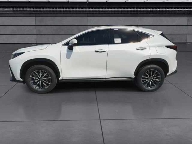 Certified Used 2025 White Lexus 250 Premium image 5
