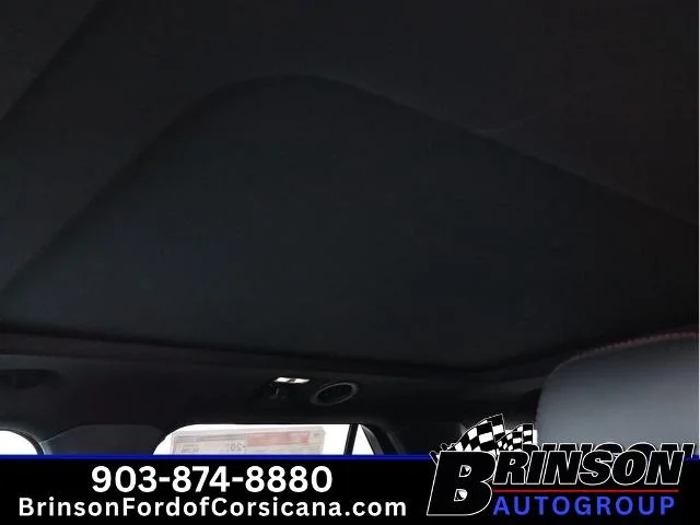New 2026 Carbonized Gray Metallic Ford ST image 36