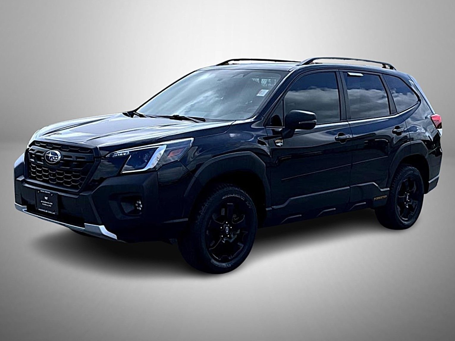 2022 Subaru Forester Wilderness's photo