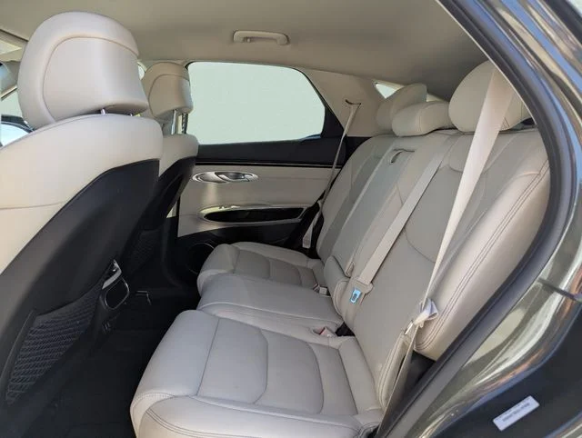 Used 2025 Green Genesis 2.5T image 20