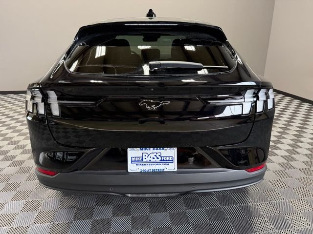 New 2026 Shadow Black Ford Premium image 10