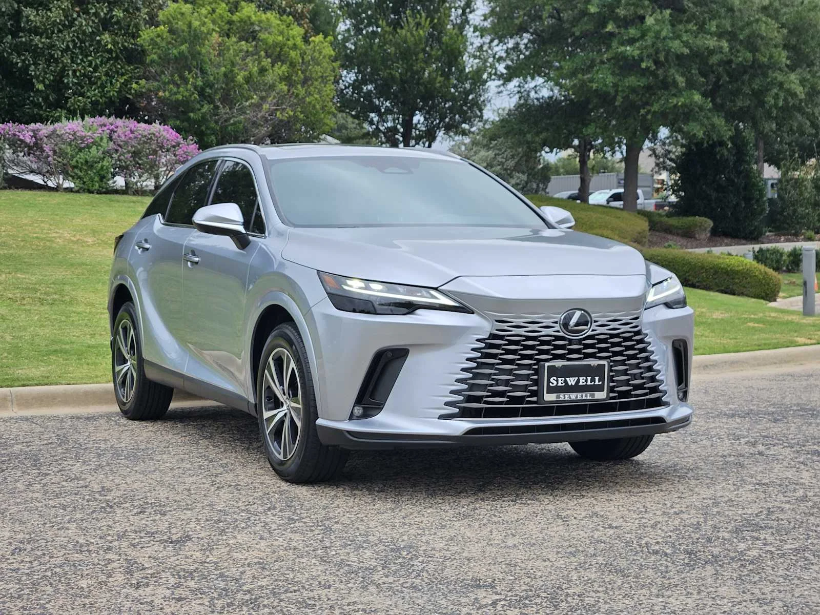 Used 2025 Iridium Lexus Premium image 2