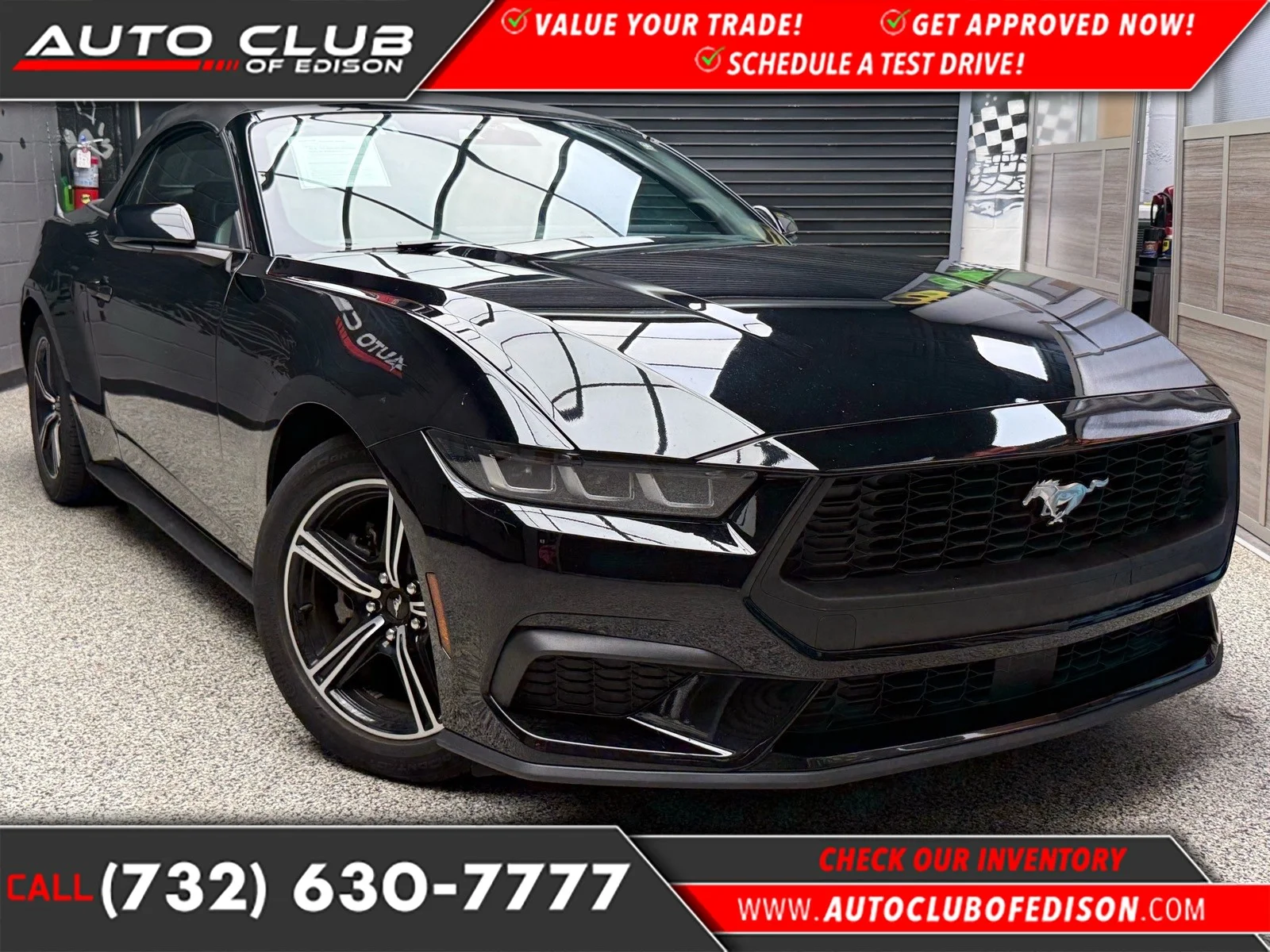 2024 Ford Mustang EcoBoost Premium Convertible's photo