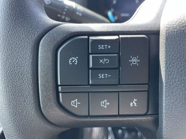 New 2026 Gray Ford STX image 18
