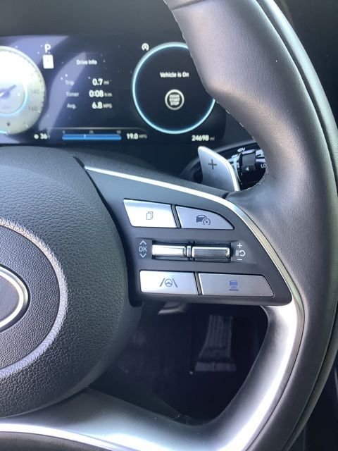 2025 Hyundai Palisade Calligraphy - Photo 28