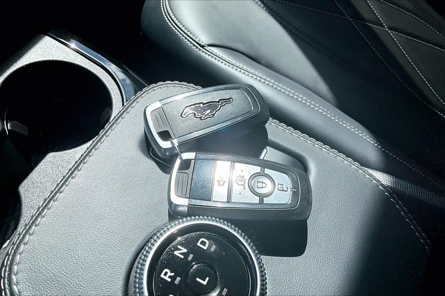 Used 2024 Glacier Gray Metallic TriCoat Ford Select image 14