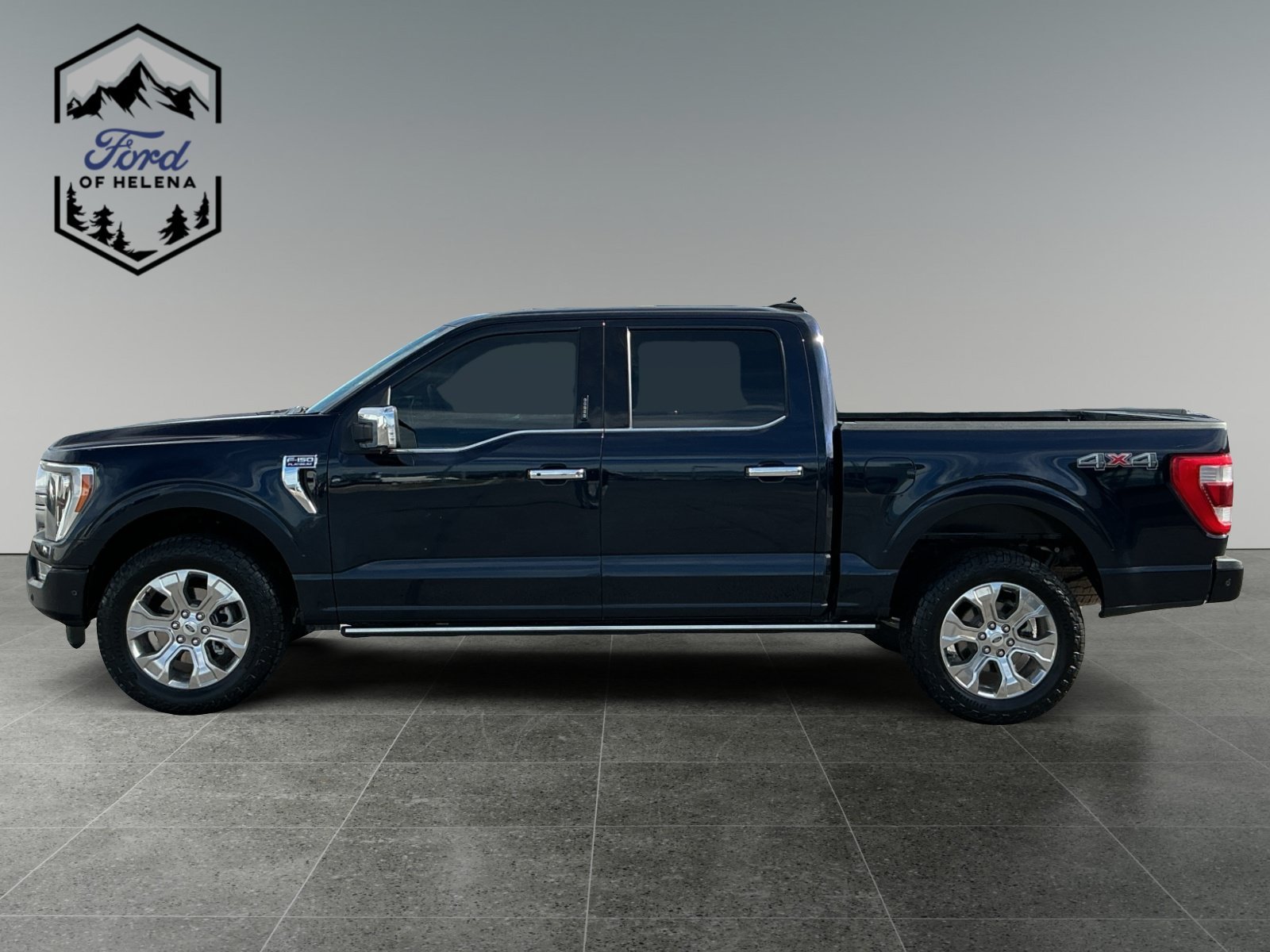 Used 2022 Blue Ford Platinum image 2