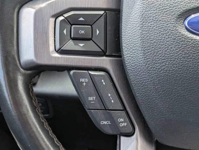 Used 2019 Gray Ford Platinum image 29
