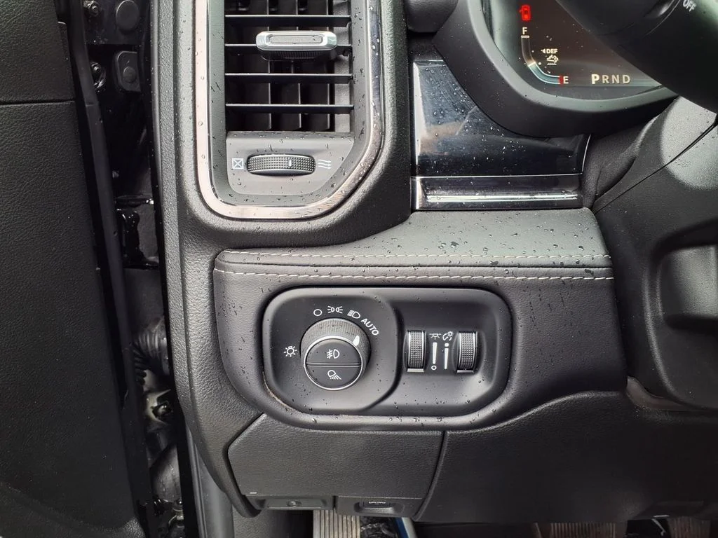 Used 2025 Black Ram Limited image 16
