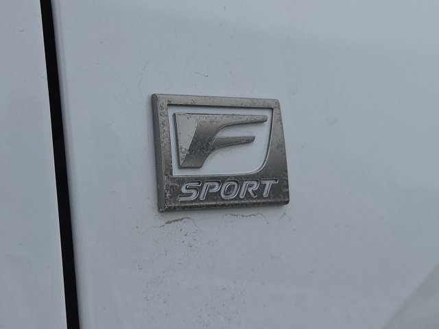 2024 Lexus RX 350 F SPORT - Photo 20