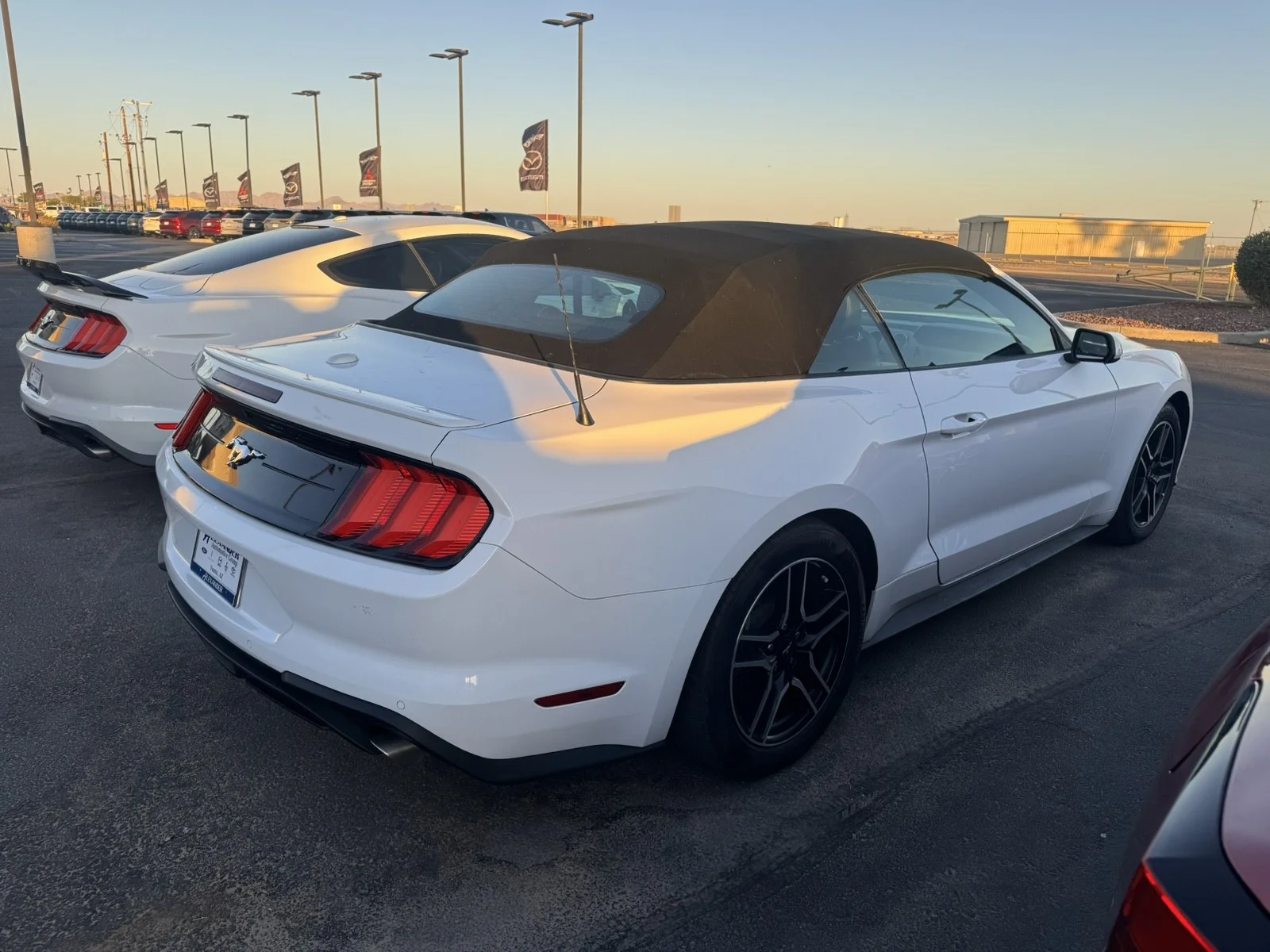 Used 2023  Ford EcoBoost image 5