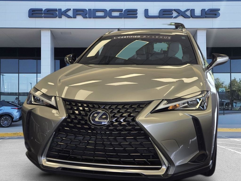 2021 Lexus UX 300h 250h AWD's photo