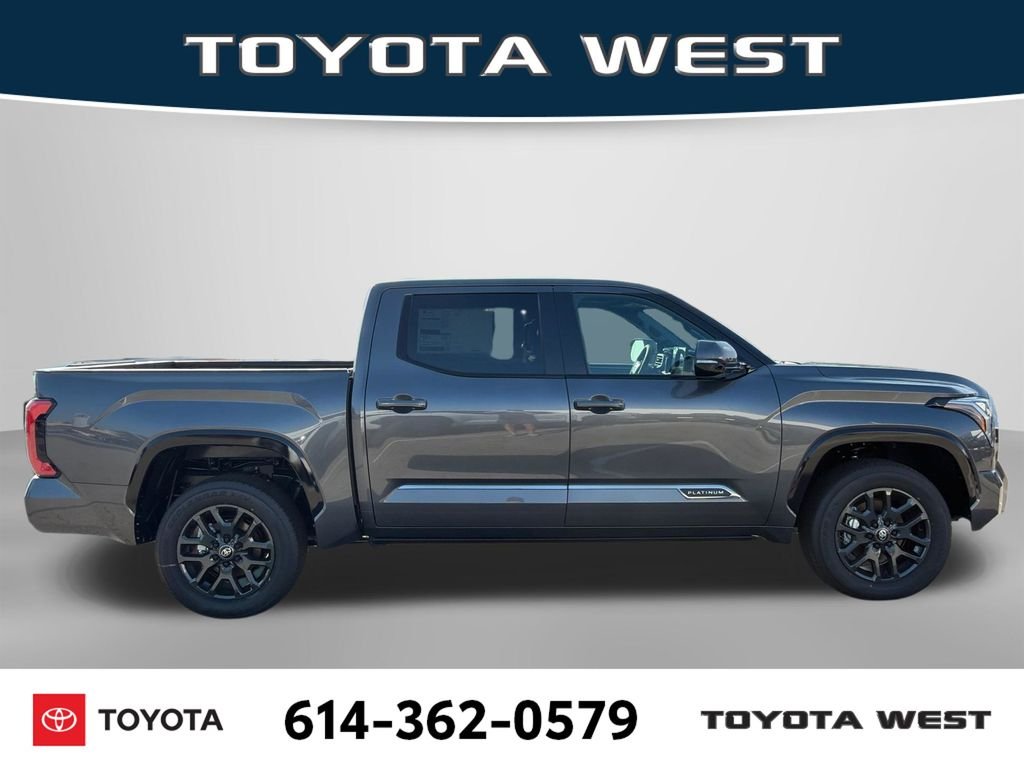 New 2026 Magnetic Gray Metallic Toyota Platinum image 6
