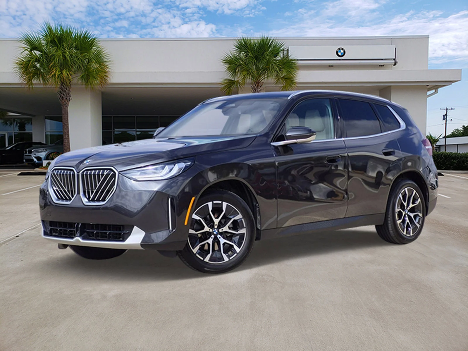 2025 BMW X3