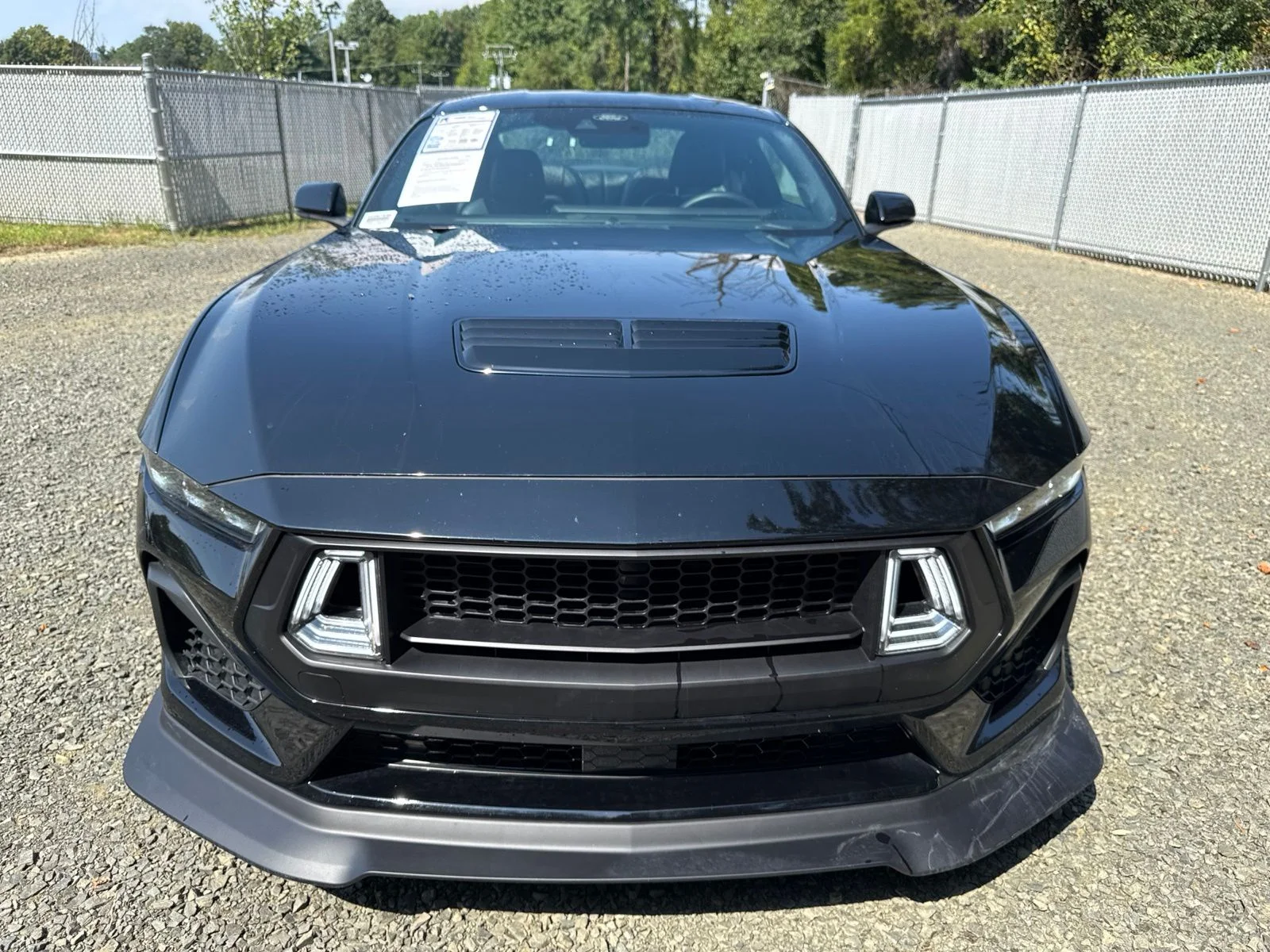 Certified Used 2025 Black Ford GT Premium image 8