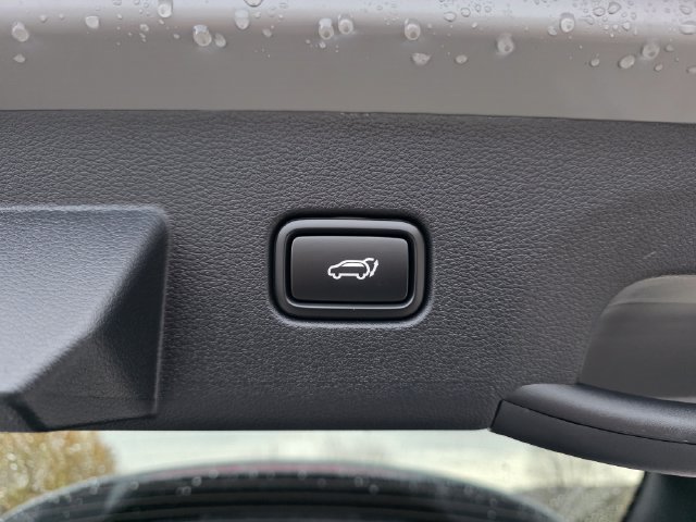 New 2027 Wolf Gray Kia EX image 10