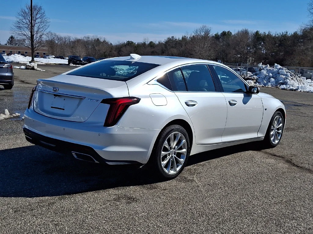 Used 2020 Crystal White Tricoat Cadillac Premium Luxury image 12