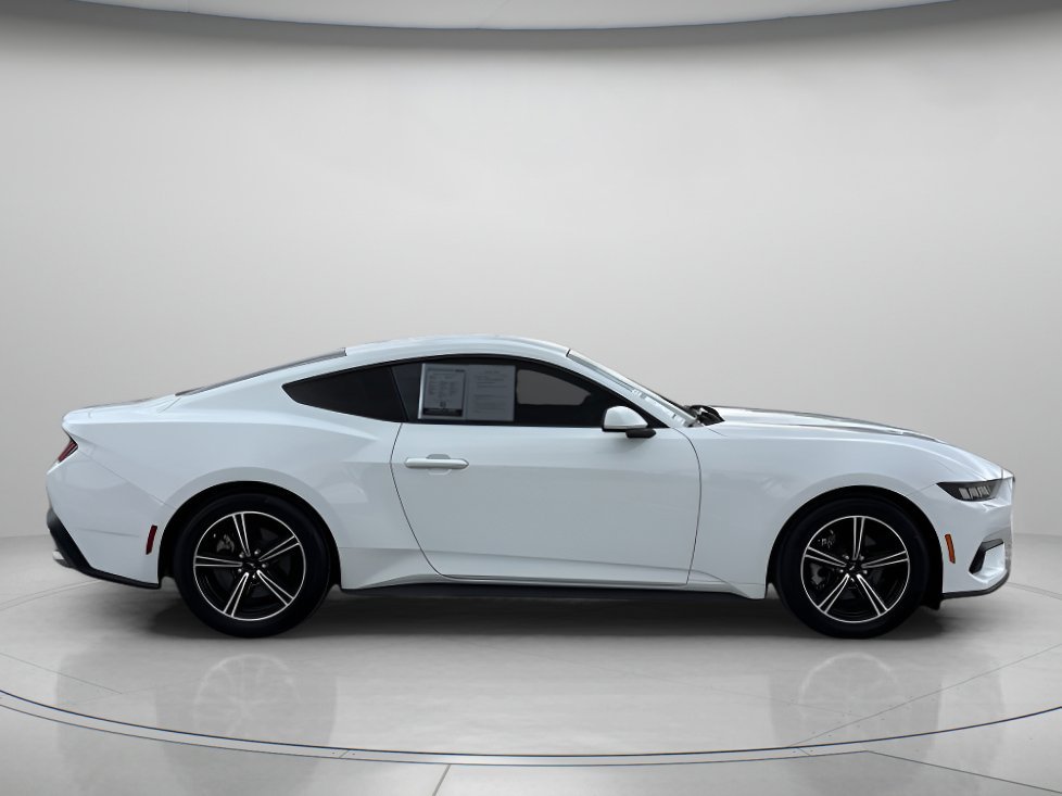 Used 2024 Oxford White Ford EcoBoost image 2