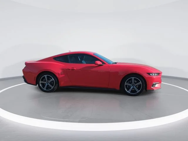 Used 2024 Red Ford EcoBoost Premium image 9