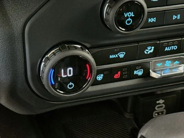 New 2026 Desert Sand Ford Raptor® image 21