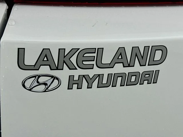 New 2027 White Hyundai Calligraphy image 25