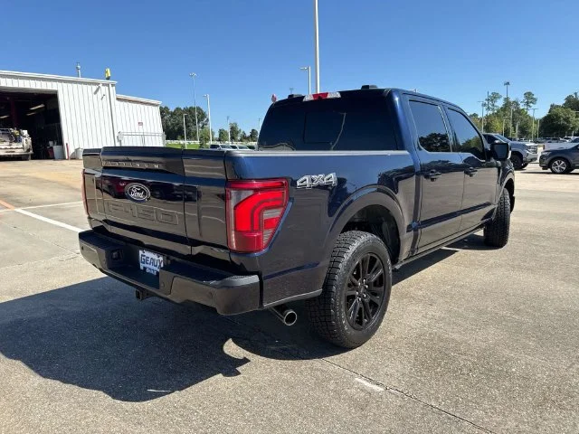 Used 2024 Blue Ford Platinum image 10