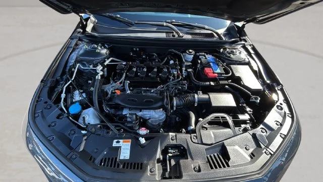 Used 2023 Gray Honda LX image 32
