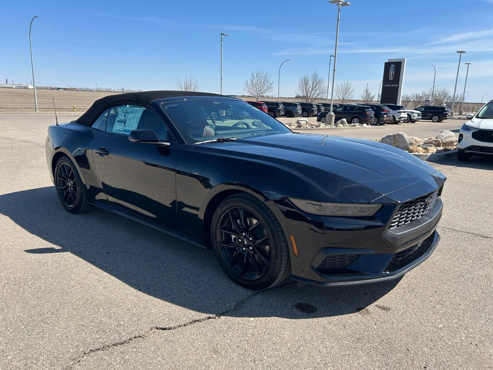 New 2026 Shadow Black Ford EcoBoost Premium image 29
